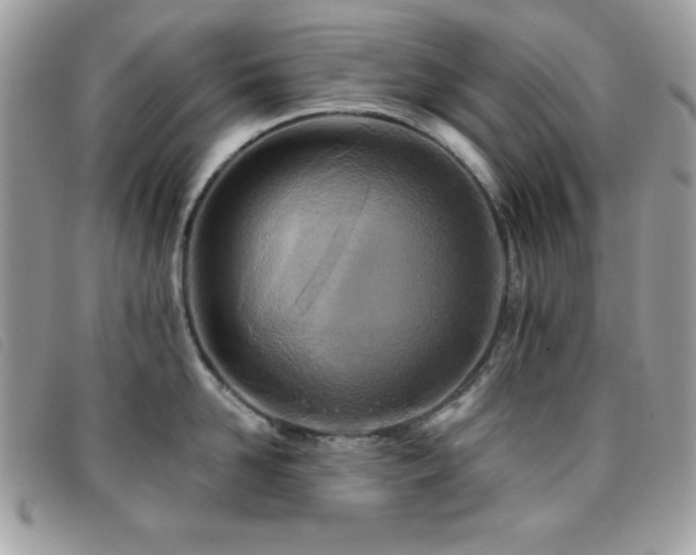 X0000095880958200801111130