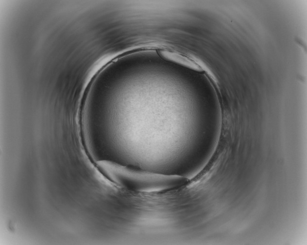 X0000095880959200801111130