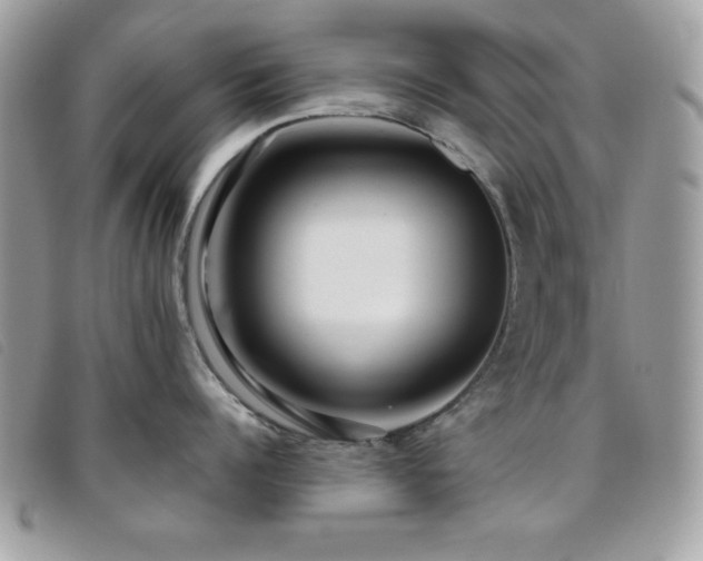 X0000095880960200801111130
