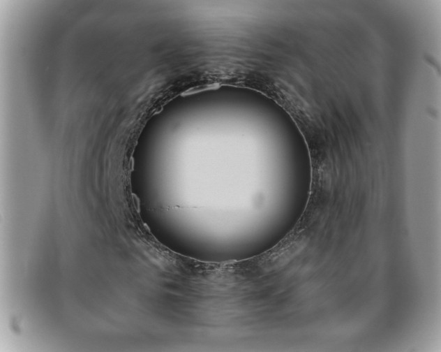X0000095880961200801111130
