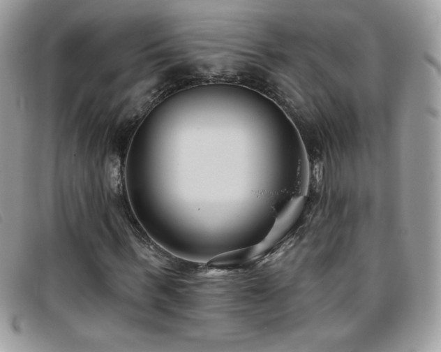 X0000095880963200801111130
