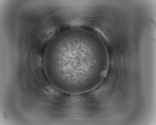 X0000095880964200801111130