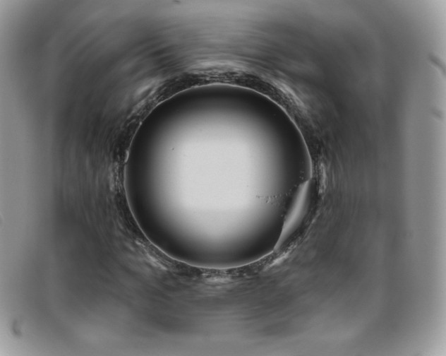 X0000095880965200801111130
