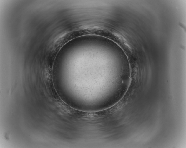 X0000095880966200801111130