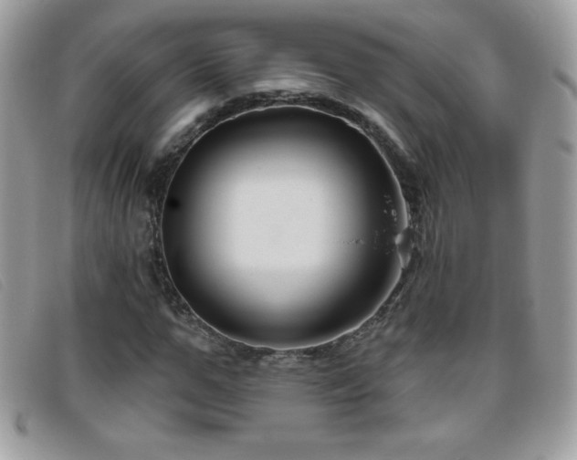 X0000095880967200801111130