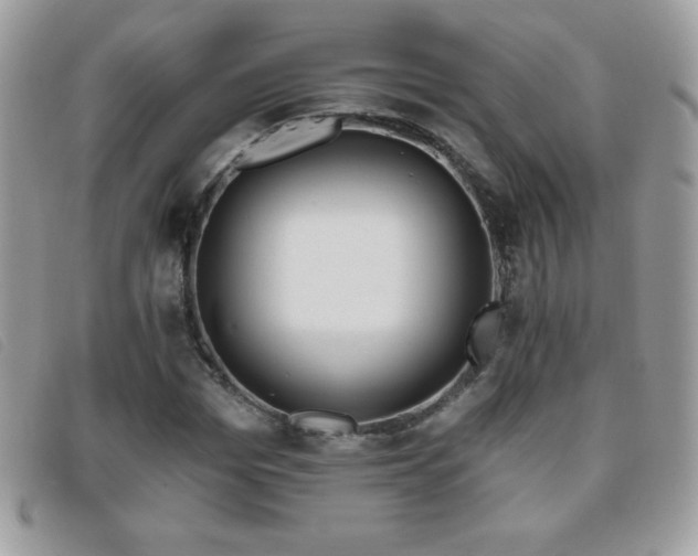 X0000095880969200801111130