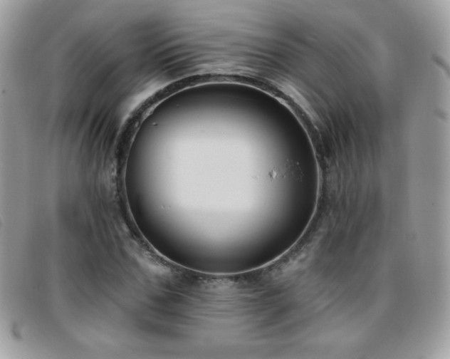 X0000095880971200801111130