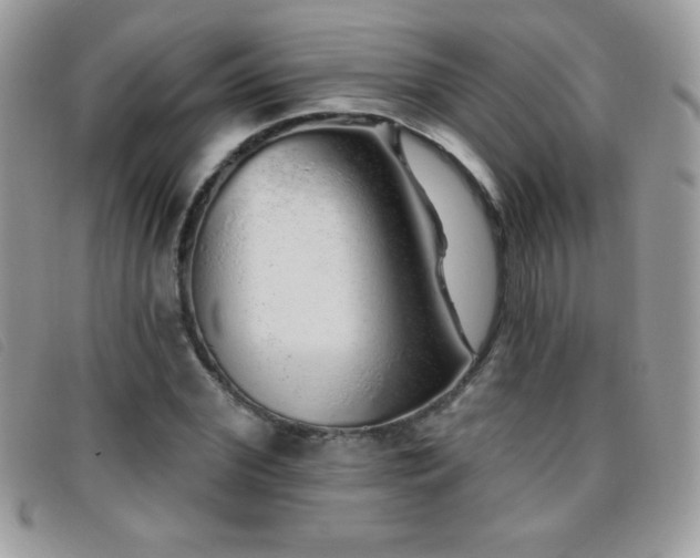 X0000095880972200801111130