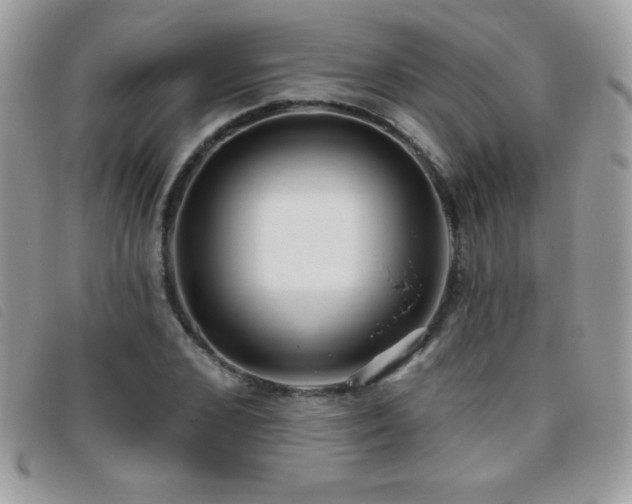 X0000095880976200801111129