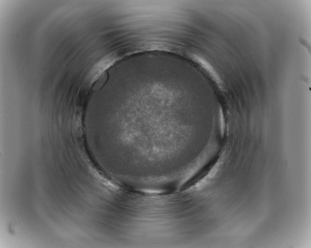 X0000095880977200801111129