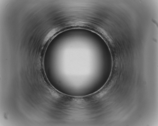 X0000095880978200801111129