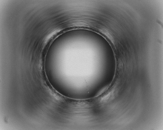 X0000095880979200801111129