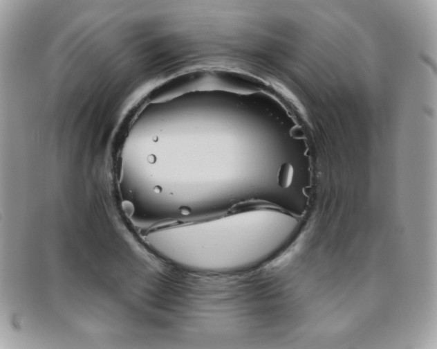 X0000095880981200801111129