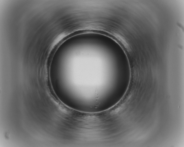 X0000095880982200801111129