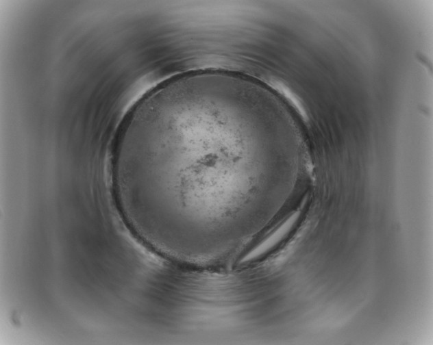 X0000095880983200801111129