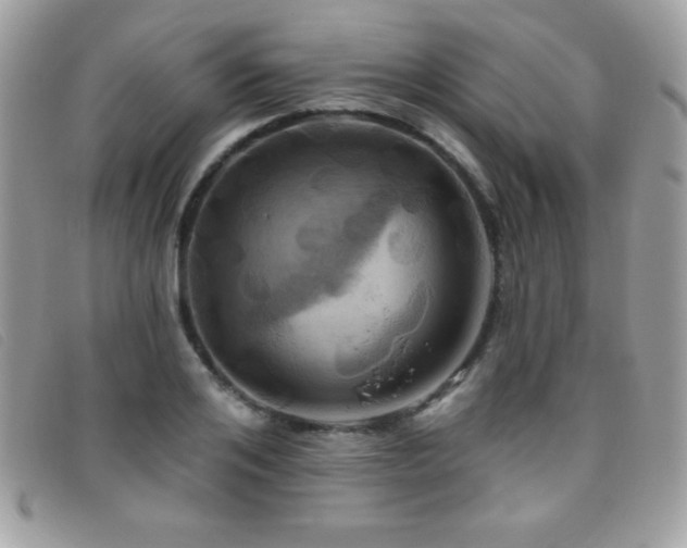 X0000095880984200801111129