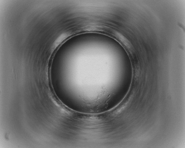 X0000095880986200801111129