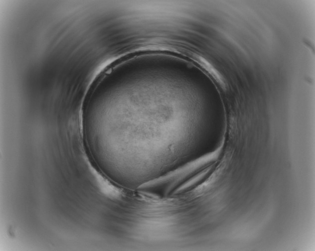 X0000095880988200801111129