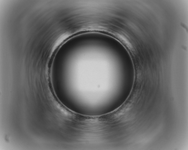 X0000095880990200801111129