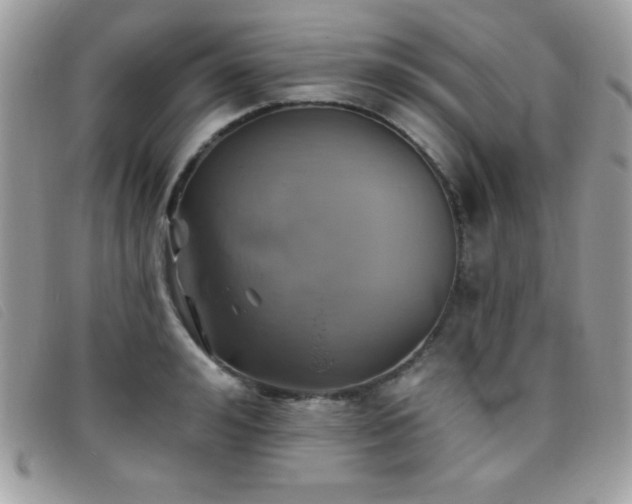 X0000095880992200801111129