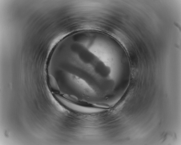 X0000095880995200801111129