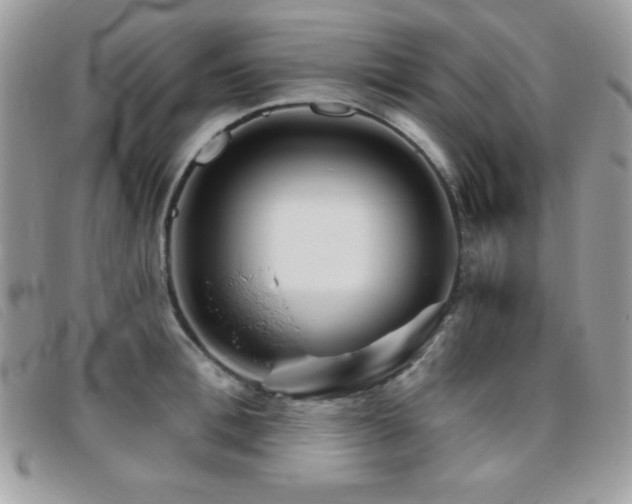 X0000095880996200801111129