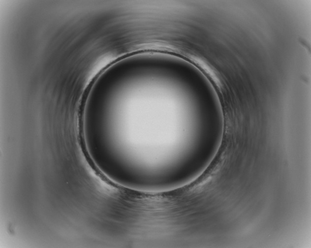 X0000095880999200801111129