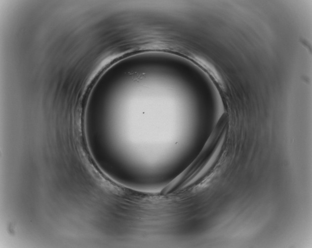 X0000095881000200801111129