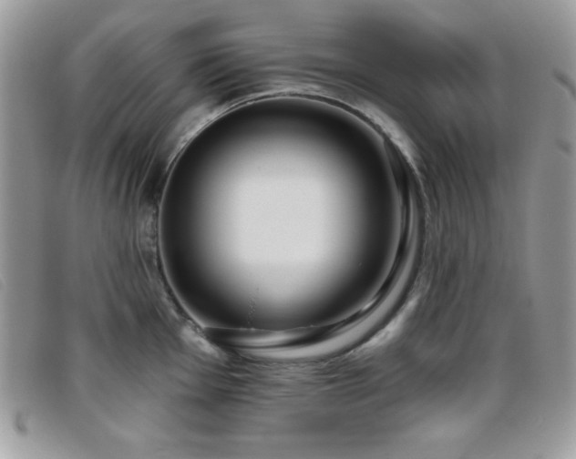 X0000095881001200801111129