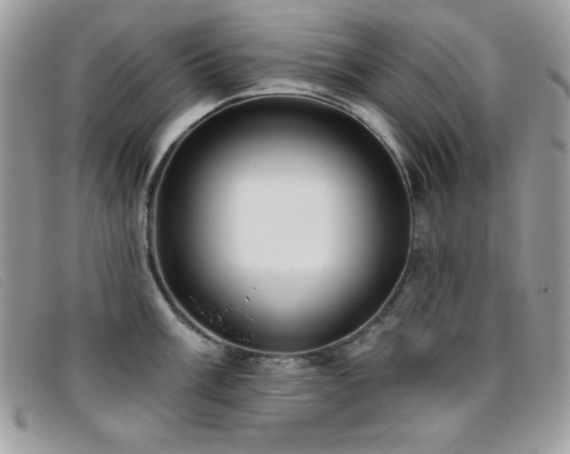 X0000095881003200801111129