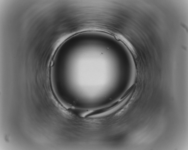 X0000095881004200801111129
