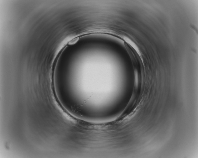 X0000095881005200801111129