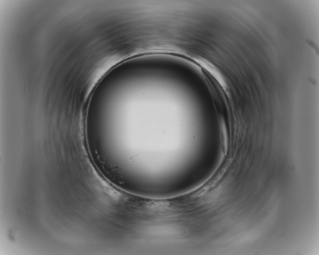 X0000095881006200801111129