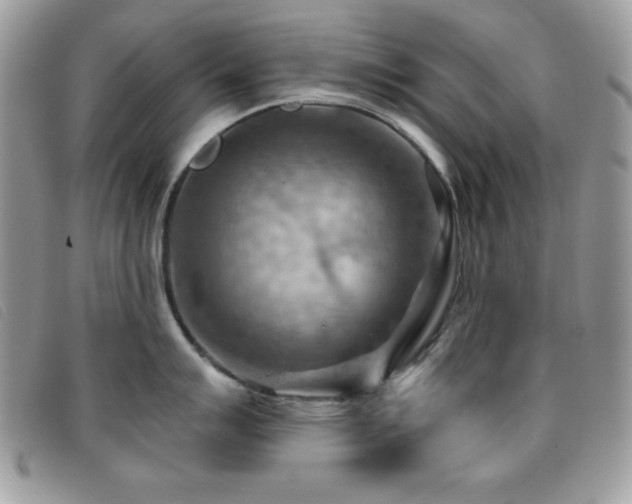 X0000095881007200801111129