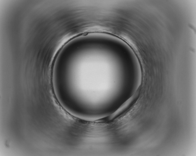 X0000095881008200801111129