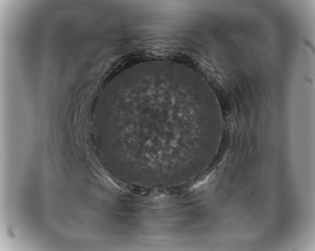 X0000095881009200801111128