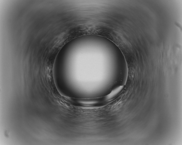 X0000095881010200801111128