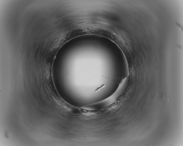 X0000095881012200801111128