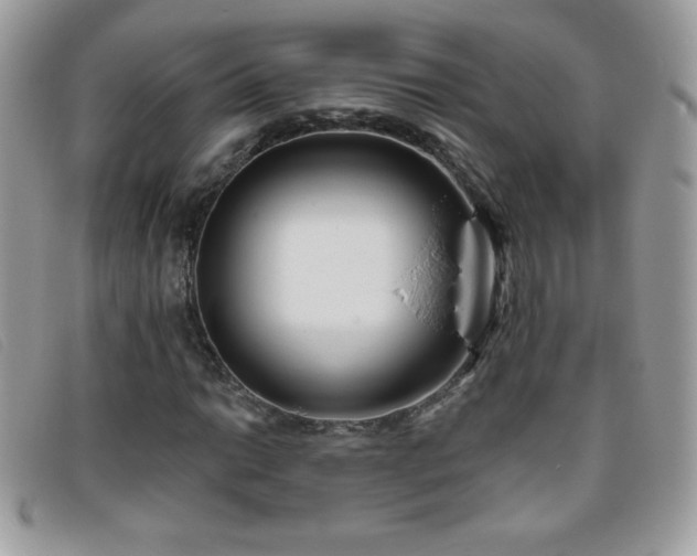 X0000095881014200801111128