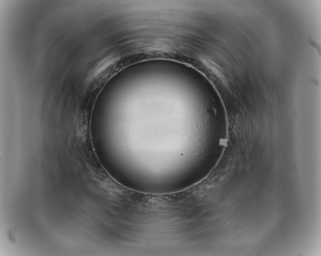 X0000095881015200801111128