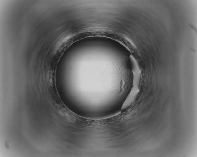 X0000095881016200801111128
