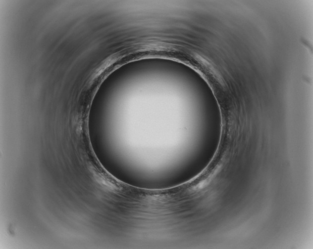 X0000095881017200801111128