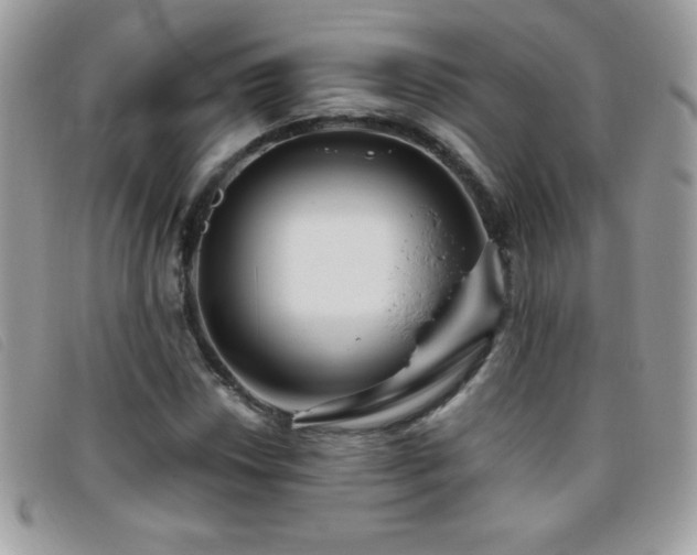 X0000095881018200801111128