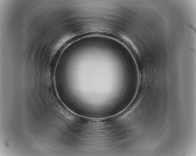 X0000095881019200801111128