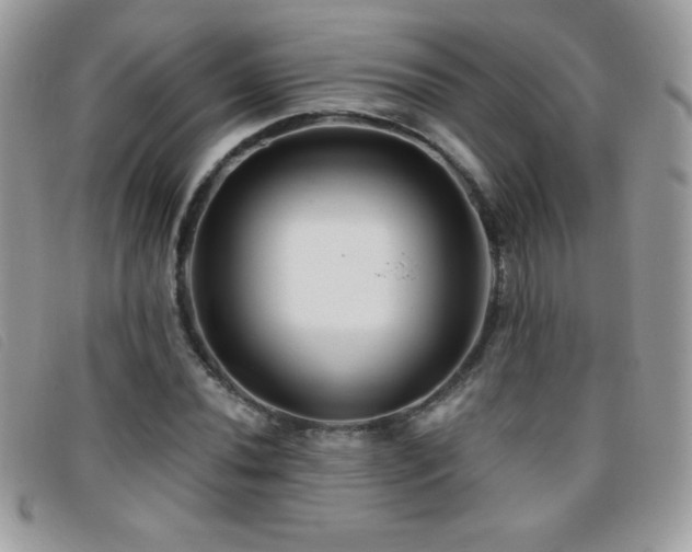 X0000095881020200801111128