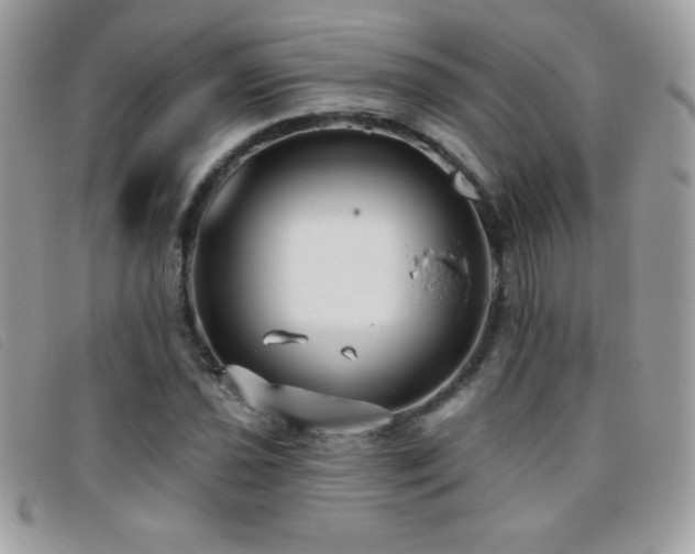 X0000095881021200801111128