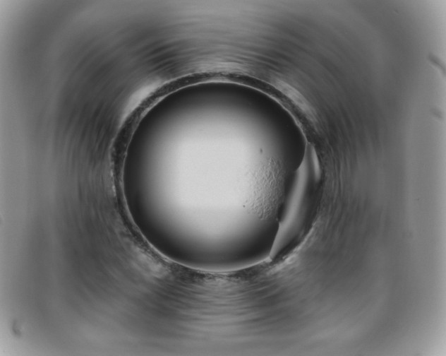 X0000095881022200801111128