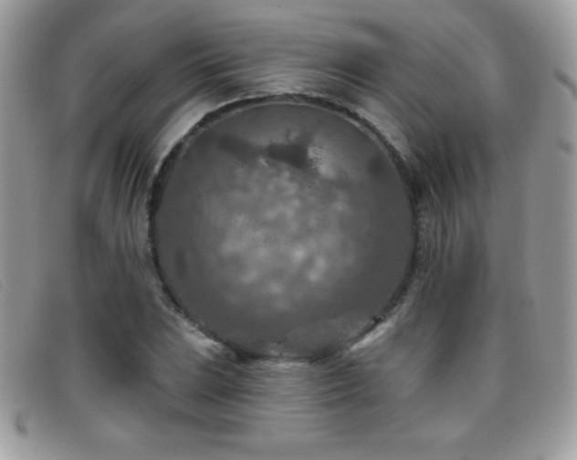 X0000095881023200801111128