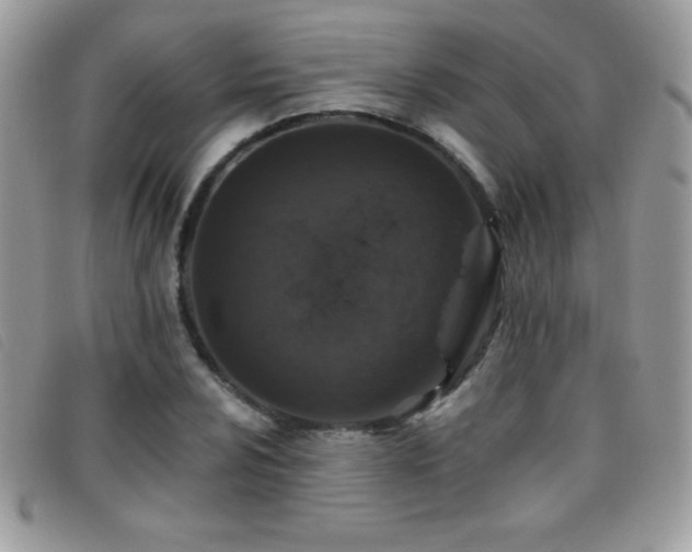 X0000095881024200801111129