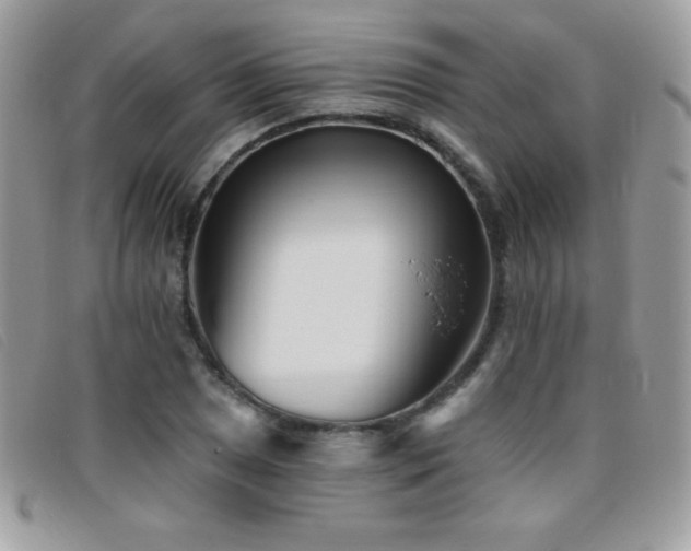 X0000095881025200801111129